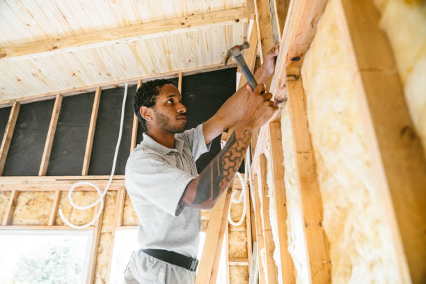 Best Insulation for New Construction  in Warren, PA