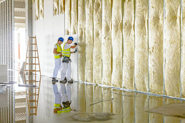 Best Insulation Replacement Services  in Warren, PA